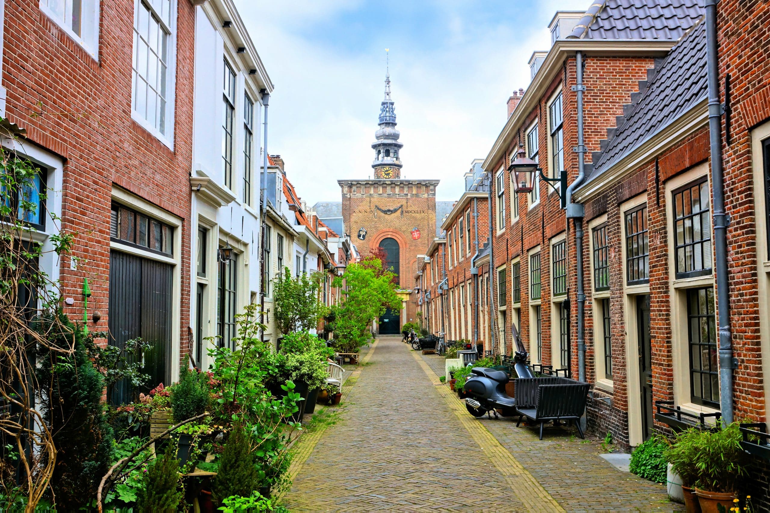 Leafy Dutch street with church tower in background, Haarlem, Netherlands