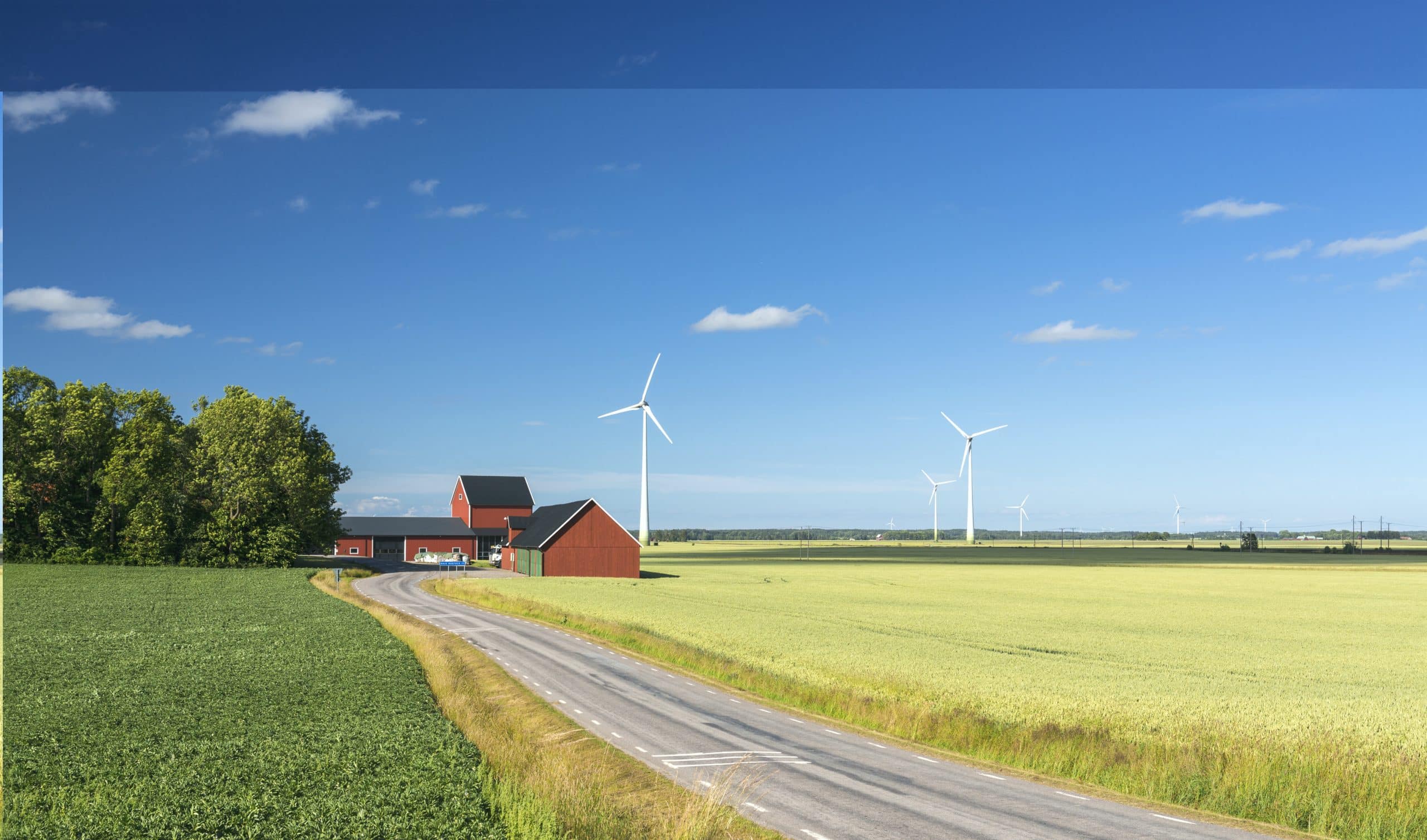 In the province of Dasland in Sweden, a few wind turbines surround a traditional red Swedish farmhouse in a yellow wheat fields. The panoramic view is composed of colorful colors, the yellow wheat, a clear blue sky and a red farmhouse. With the wind turbines, the image also displays the modern high technology used for the environmental protection of the nature and the traditional farming.